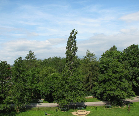 2007-06-16